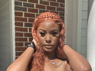 Stephaniebricks